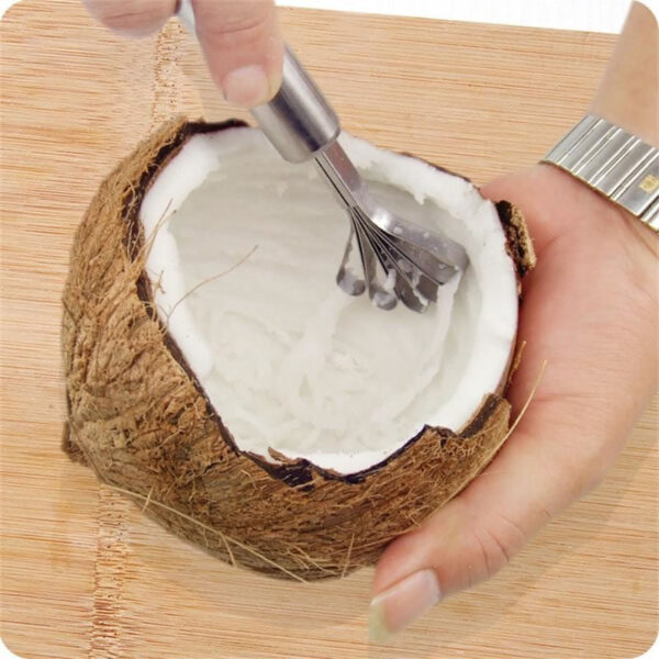 Raspador Coco Descamador Pescado Quitar Escamas - Imagen 4