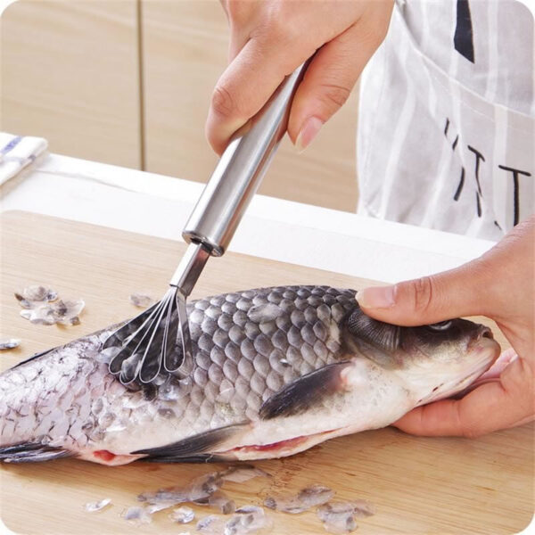 Raspador Coco Descamador Pescado Quitar Escamas - Imagen 5