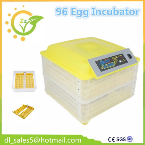 Incubadora 96 huevos - Imagen 6