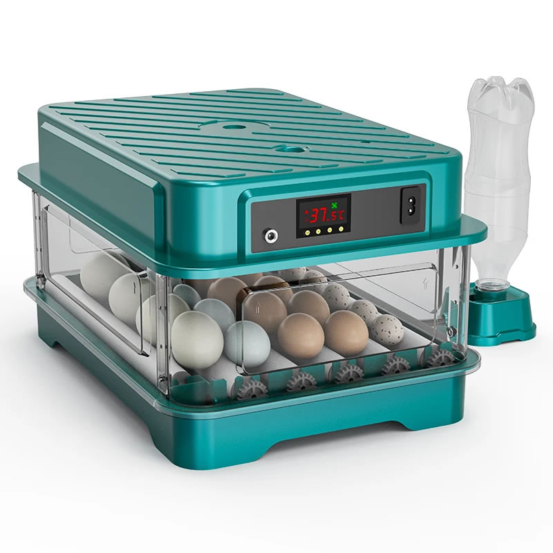 Incubadora 24 Huevos